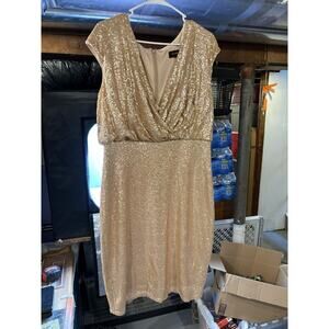 Tadashi Shoji Women's Dress Size XL Pre-Owned Good